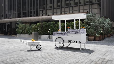 prada flower seeds|prada floral designs.